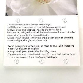 White Rose Folding Card x 25