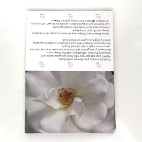 White Rose Folding Card x 25