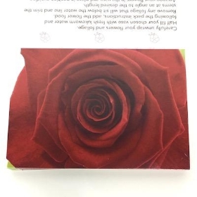 Deep Red Rose Folding Card x 25