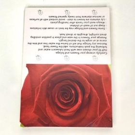 Deep Red Rose Folding Card x 25