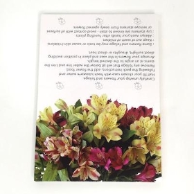 Mixed Colour Alstromera Folding Card x 25