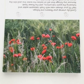 Red Poppy Field Folding Card x 25
