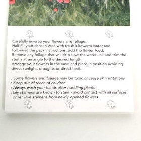 Red Poppy Field Folding Card x 25