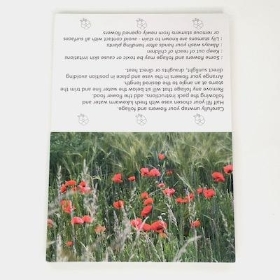 Red Poppy Field Folding Card x 25