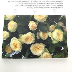 Pale Yellow Rose Folding Card x 25
