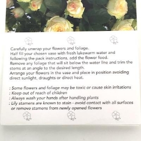 Pale Yellow Rose Folding Card x 25