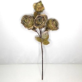 Green Dried Rose Spray 54cm