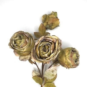 Green Dried Rose Spray 54cm