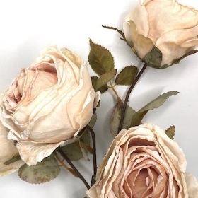Cream Dried Rose Spray 54cm