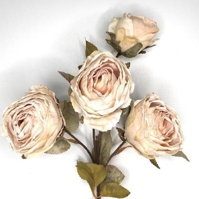 Cream Dried Rose Spray 54cm