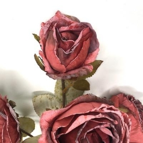 Burgundy Dried Rose Spray 54cm