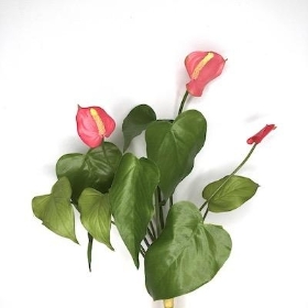 Pink Mini Anthurium Bundle 39cm