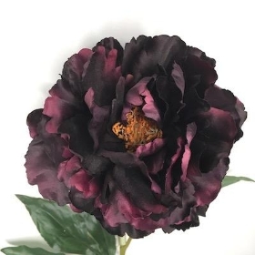 Aubergine Peony 77cm