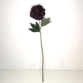 Aubergine Peony 77cm