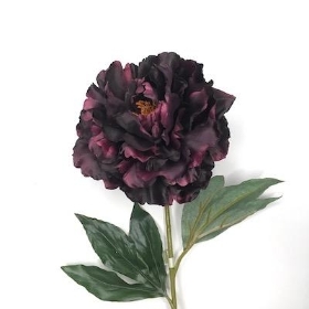 Aubergine Peony 77cm