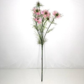 Pink Nigella 63cm