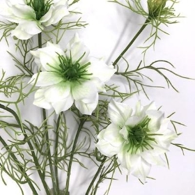 White Nigella 63cm