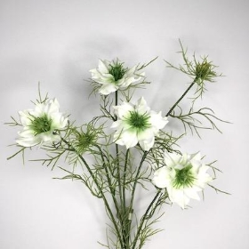 White Nigella 63cm