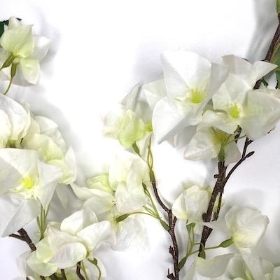 Ivory Bougainvillaea 103cm