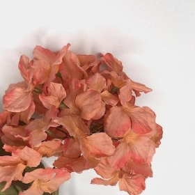 Salmon Mini Hydrangea 56cm