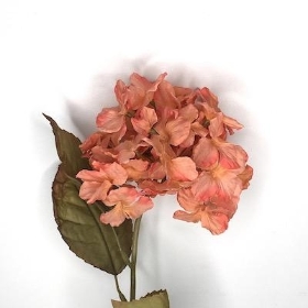 Salmon Mini Hydrangea 56cm