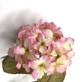Pink Mini Hydrangea 56cm