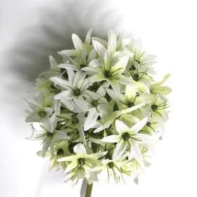 White Allium 62cm