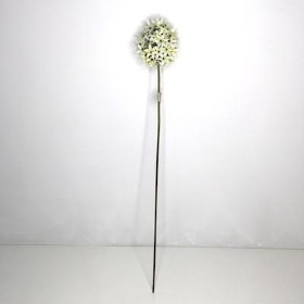 White Allium 62cm
