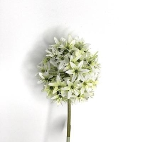 White Allium 62cm