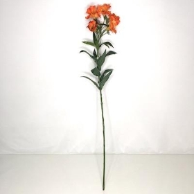 Orange Alstro 72cm