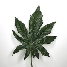 Green Aralia Leaf 48cm
