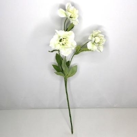 Ivory Hellebore 52cm