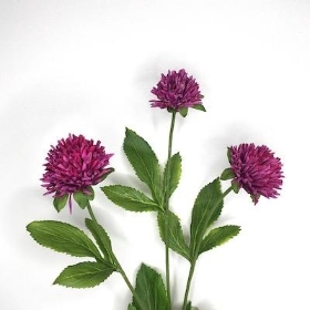 Plum Clover Spray 54cm