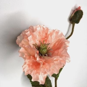 Peach Poppy 64cm