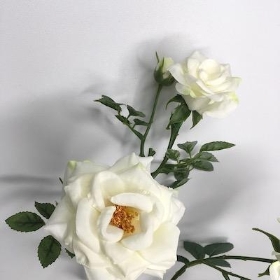 Ivory Spray Rose 60cm