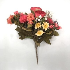 Coral Peony Mix Bush 23cm