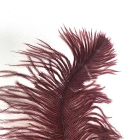 Ruby Ostrich Feather Pick 70cm