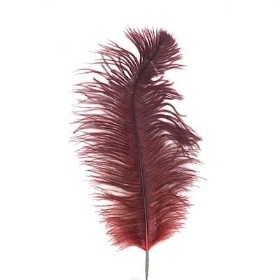 Ruby Ostrich Feather Pick 70cm