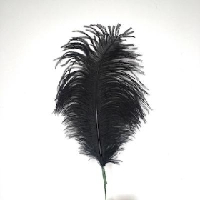 Black Ostrich Feather Pick 70cm