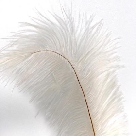 Cream Ostrich Feather Pick 70cm