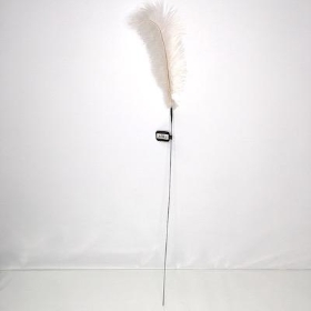Cream Ostrich Feather Pick 70cm
