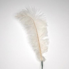 Cream Ostrich Feather Pick 70cm