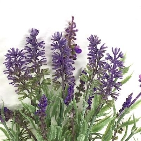 Purple Lavender Bundle 38cm