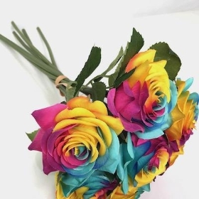 Rainbow Rose Bundle 38cm