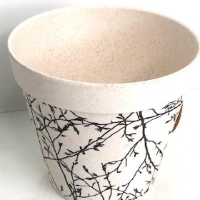 Cream Bamboo Pot With Branch Design 11cm