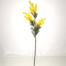 Yellow Mimosa 84cm