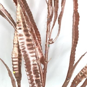 Rose Gold Reed Spray 78cm