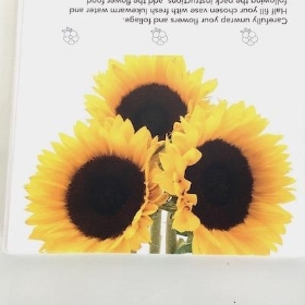 Sunflowers Folding Card x 25