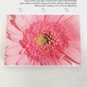 Pink Gerbera Folding Card x 25 
