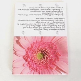 Pink Gerbera Folding Card x 25